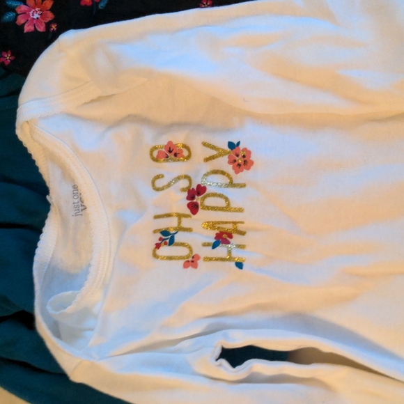 NWT Carter's Girls 18 Month 3 piece set - Picture 2 of 3